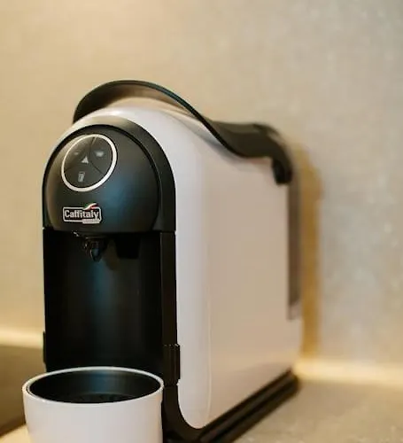 Luxury Old Town * קובנה